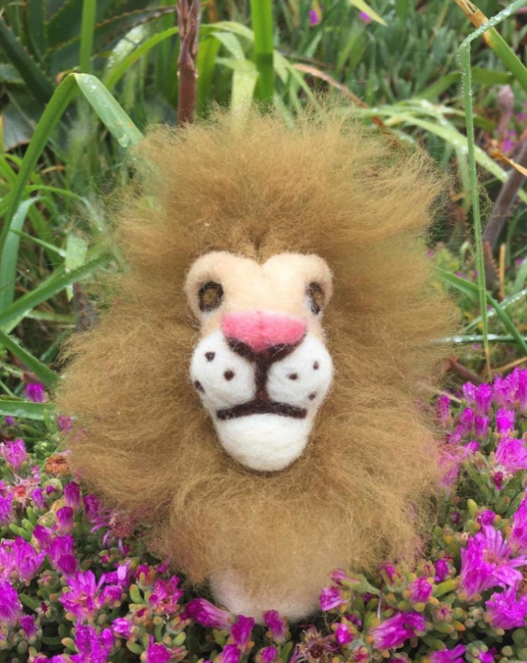 casa de las estrellas